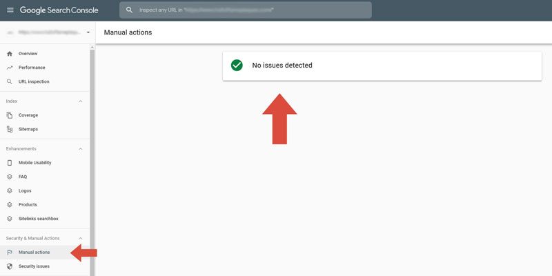 Search Console Report - Manual Actions